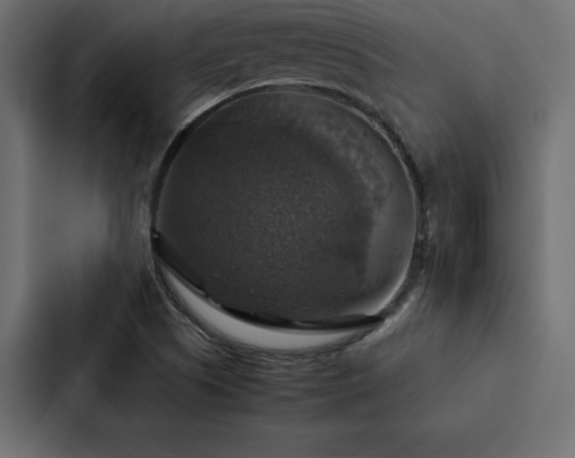 X0000088231505200705151442