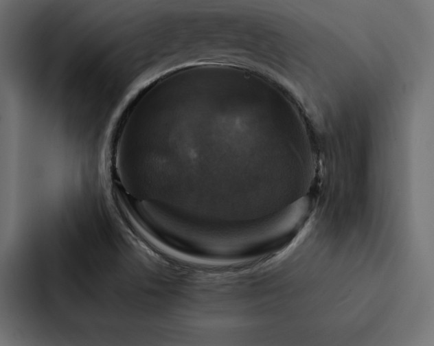 X0000088231506200705151442