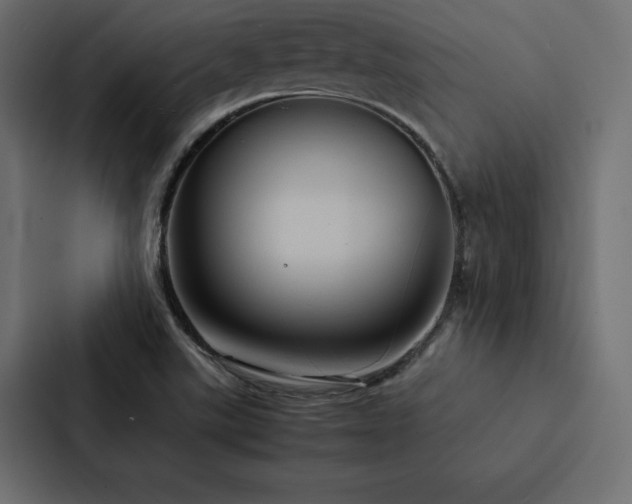 X0000088231507200705151442