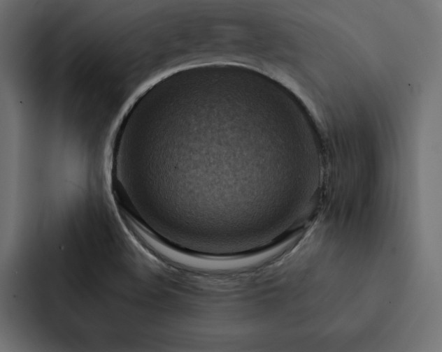 X0000088231508200705151442