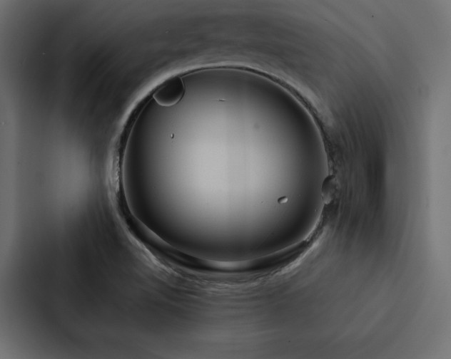 X0000088231510200705151442