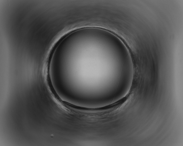 X0000088231511200705151442