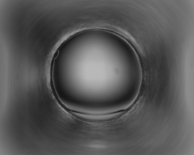 X0000088231512200705151442