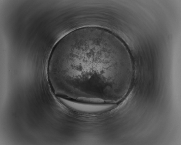 X0000088231513200705151442