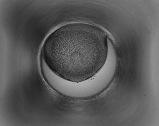 X0000088231514200705151442