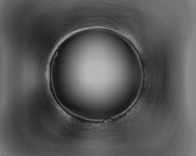 X0000088231516200705151442