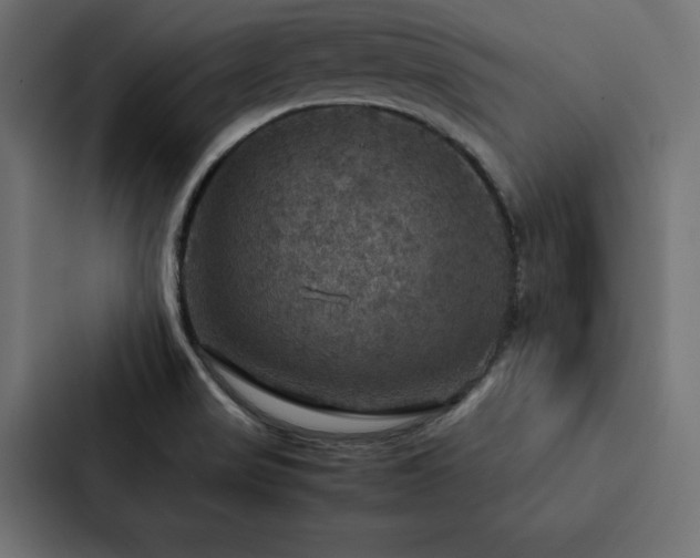 X0000088231517200705151442