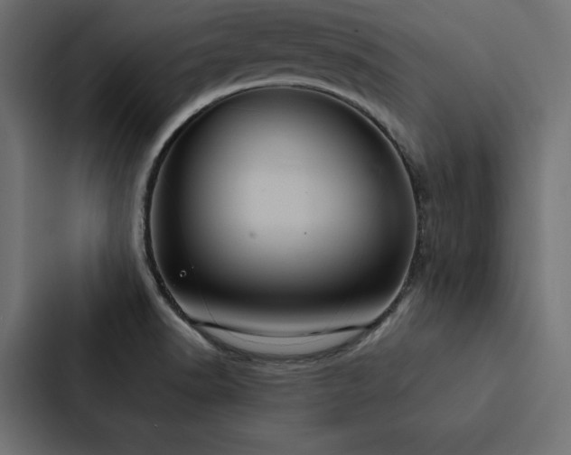 X0000088231518200705151442