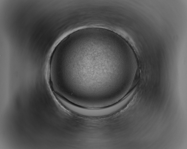 X0000088231520200705151442