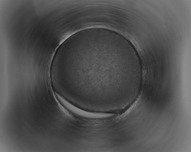 X0000088231521200705151442