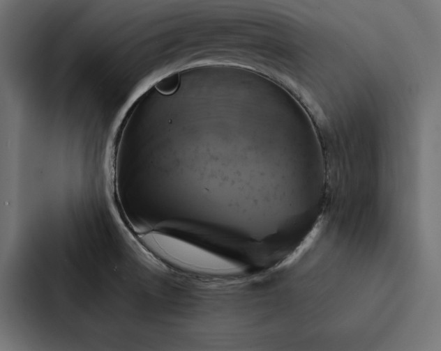 X0000088231522200705151442
