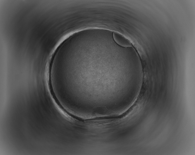 X0000088231523200705151442