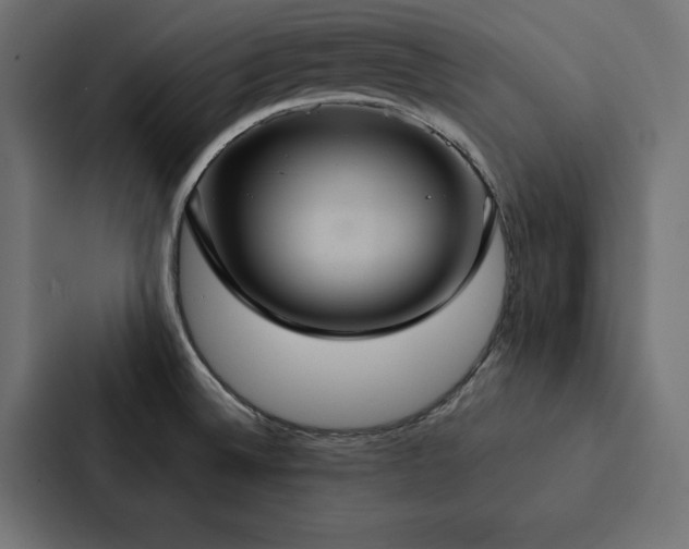 X0000088231524200705151442