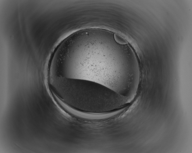 X0000088231525200705151443