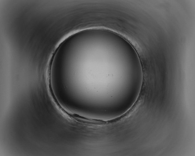 X0000088231526200705151443