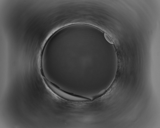 X0000088231527200705151443
