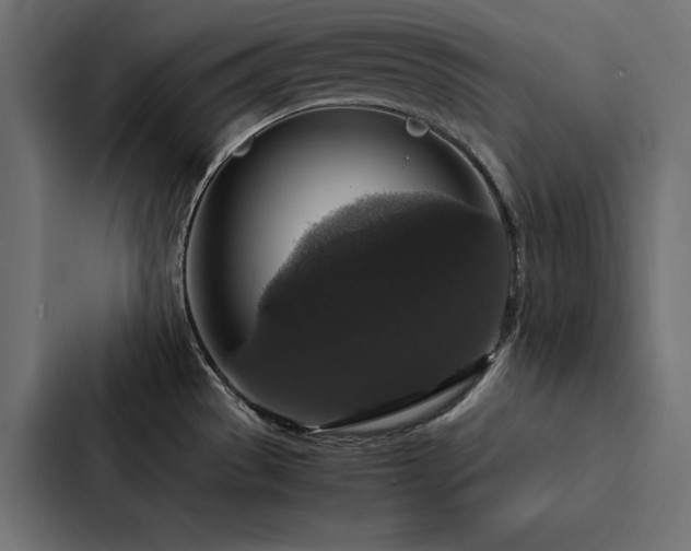 X0000088231529200705151443