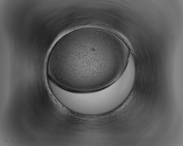 X0000088231530200705151443