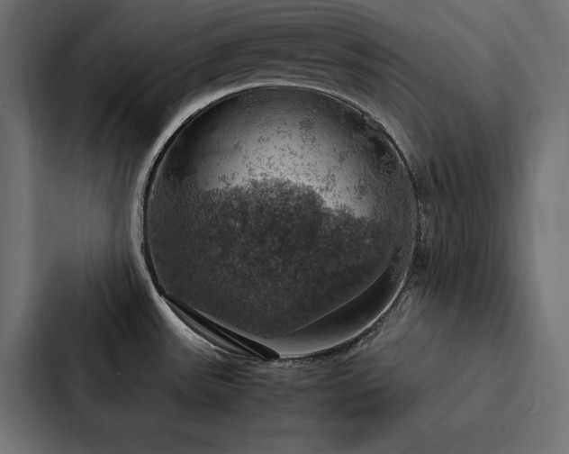 X0000088231531200705151443