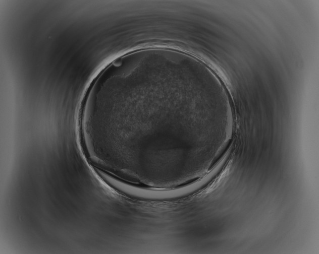 X0000088231533200705151443