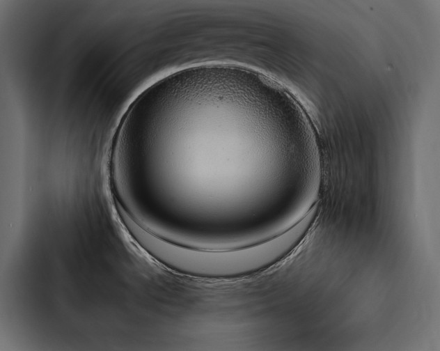 X0000088231534200705151443