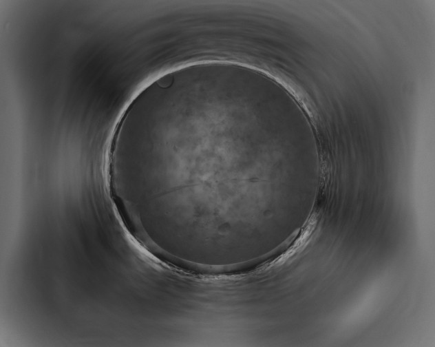 X0000088231535200705151443