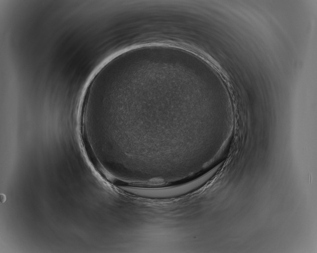 X0000088231536200705151443