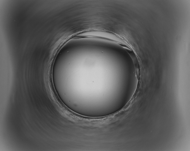 X0000088230001200705221834