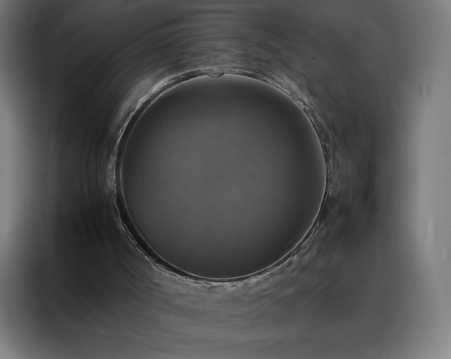 X0000088230002200705221834