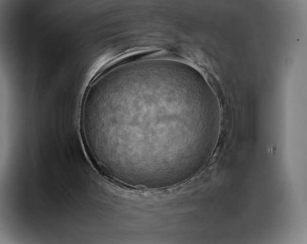 X0000088230003200705221834