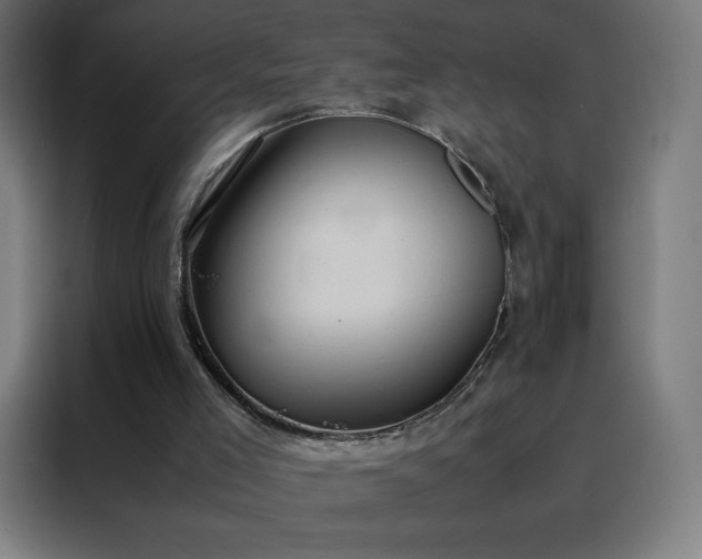 X0000088230005200705221834