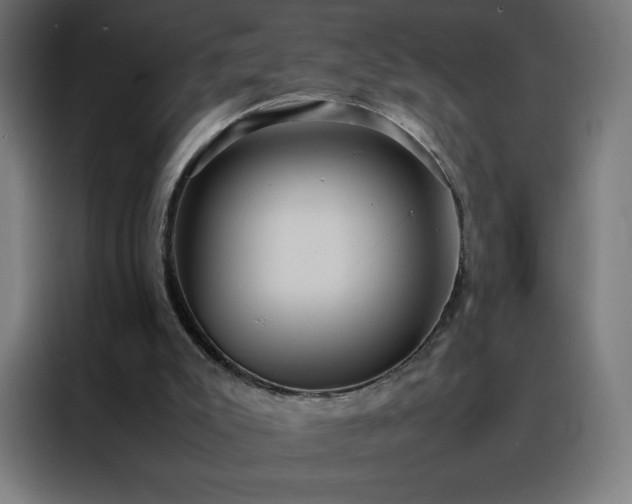 X0000088230007200705221834
