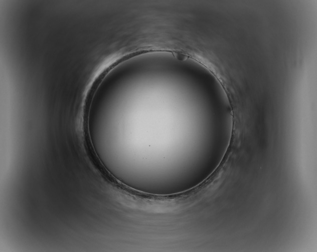 X0000088230008200705221834
