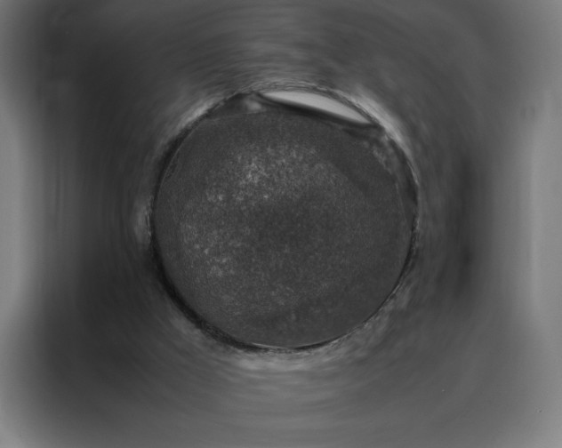 X0000088230009200705221834