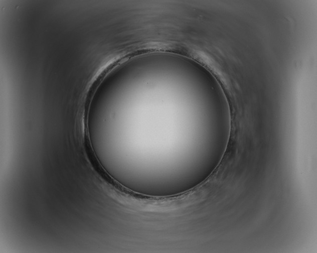 X0000088230011200705221834