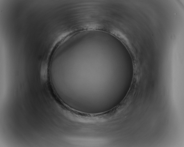 X0000088230012200705221834