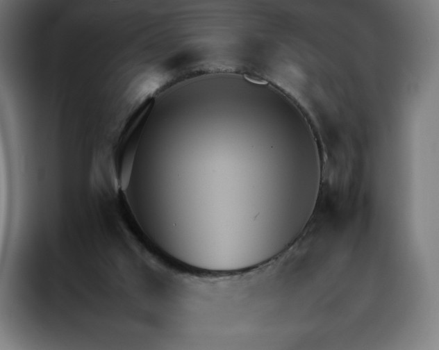 X0000088230013200705221834