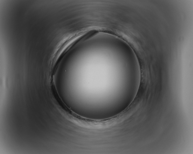 X0000088230015200705221834