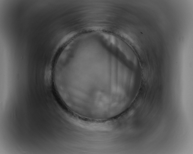 X0000088230016200705221834