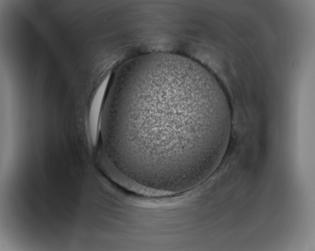 X0000088230017200705221834