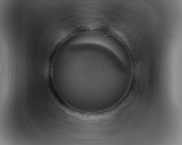 X0000088230018200705221834