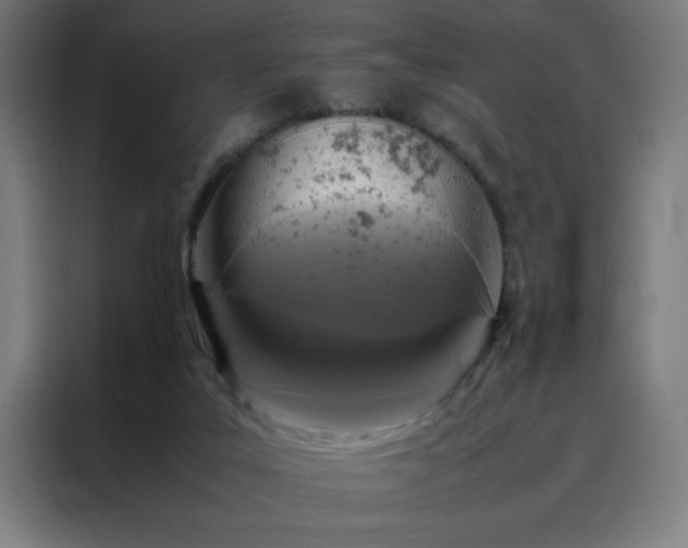 X0000088230019200705221834