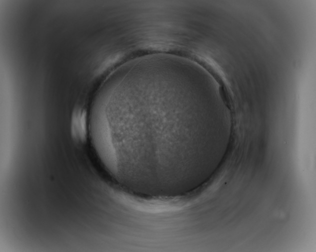 X0000088230020200705221834