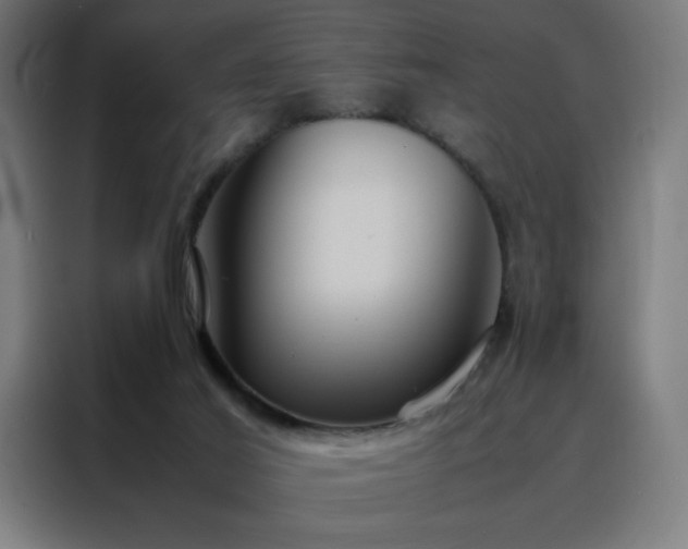 X0000088230021200705221834