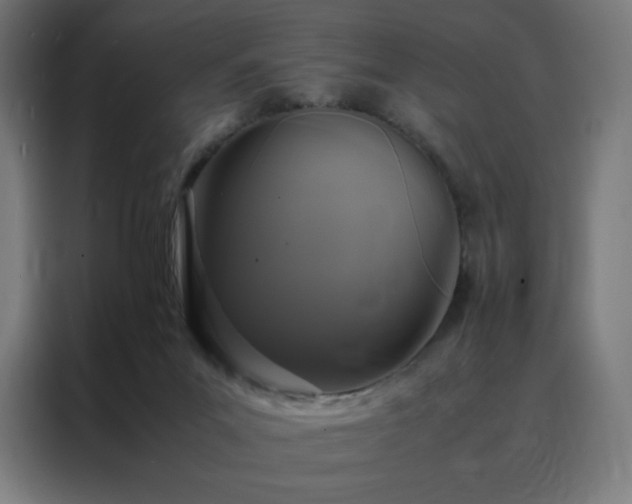 X0000088230023200705221834