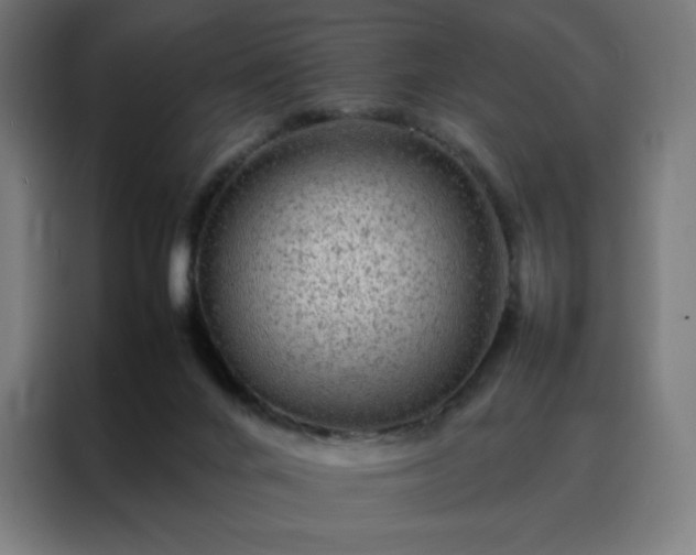 X0000088230024200705221834