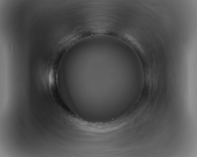 X0000088230026200705221834