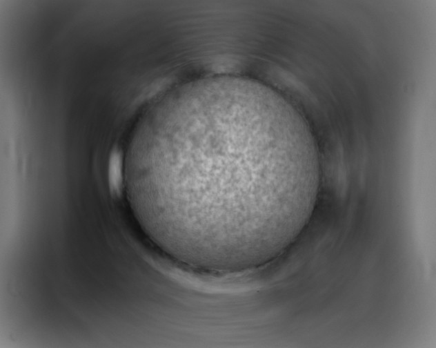 X0000088230028200705221834