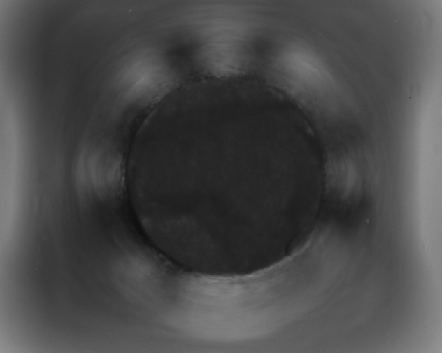 X0000088230029200705221834