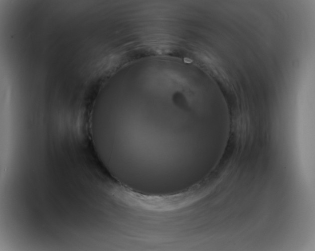 X0000088230030200705221834